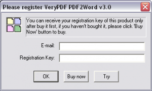 pdf2word1